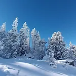 Au Chasseur