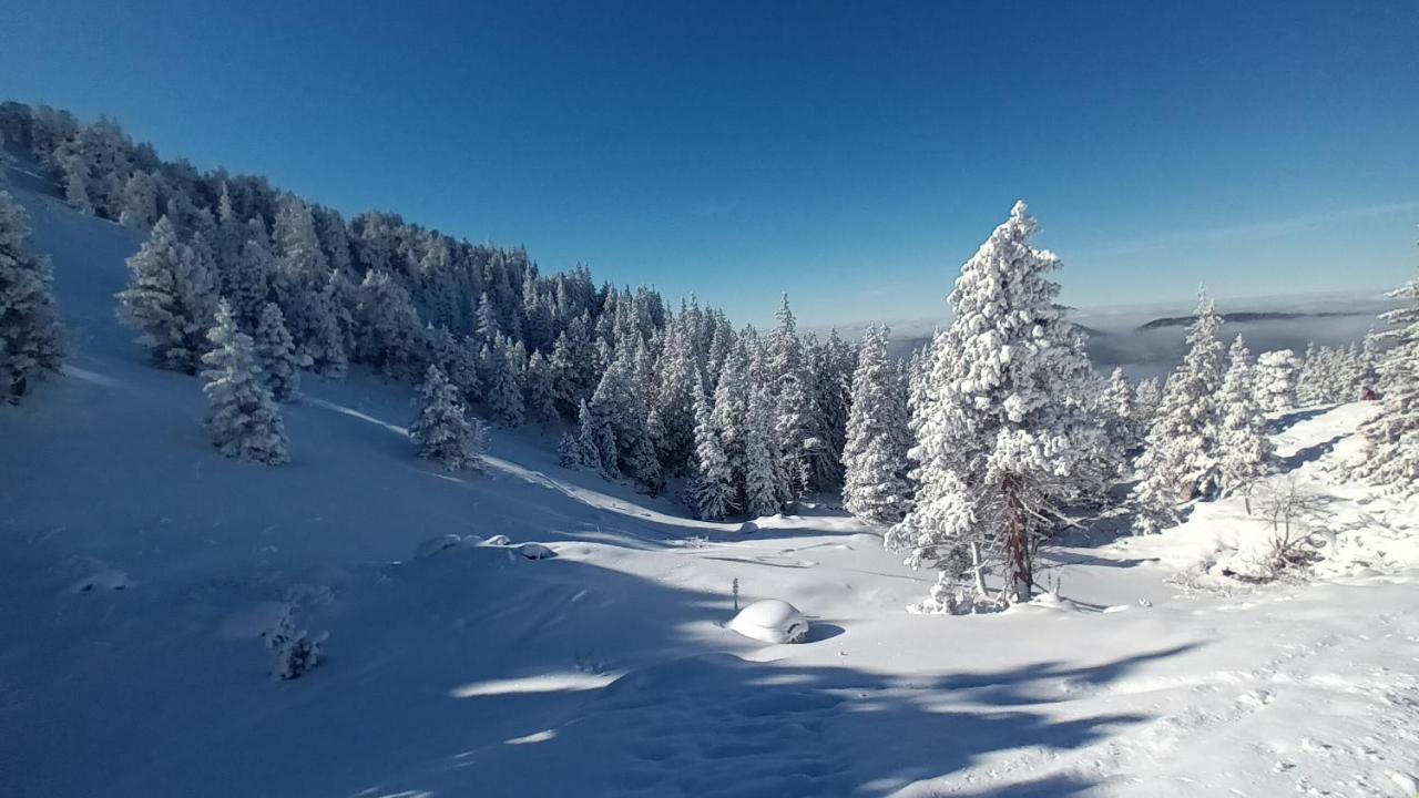 Appartamento Au Chasseur