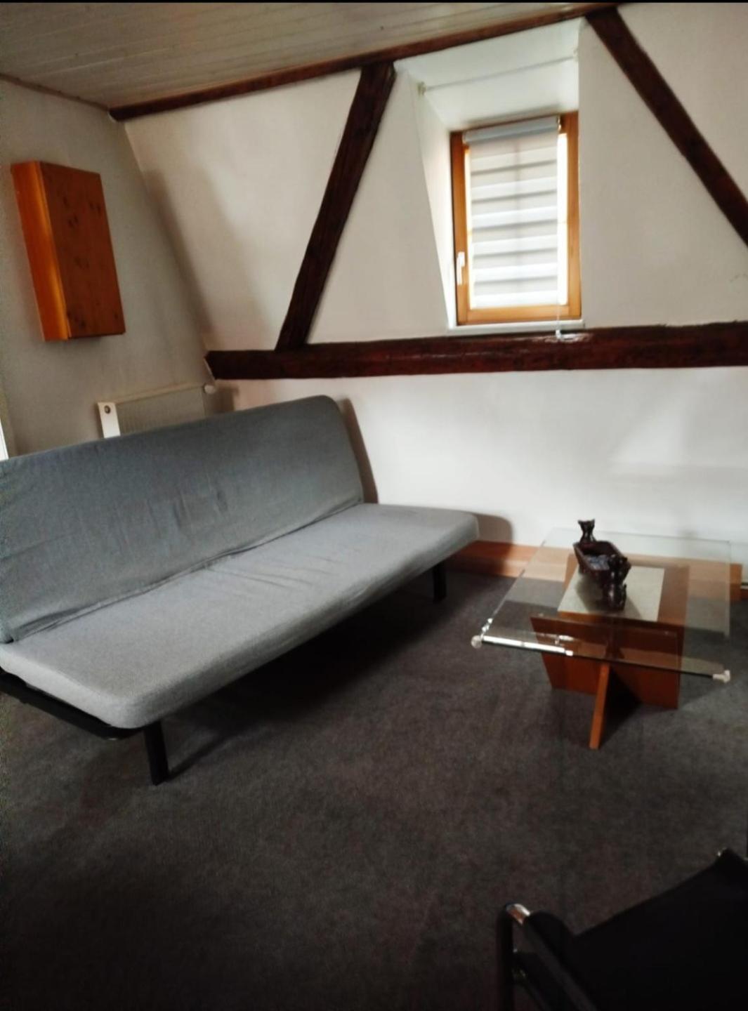 Appartamento Au Chasseur Colmar